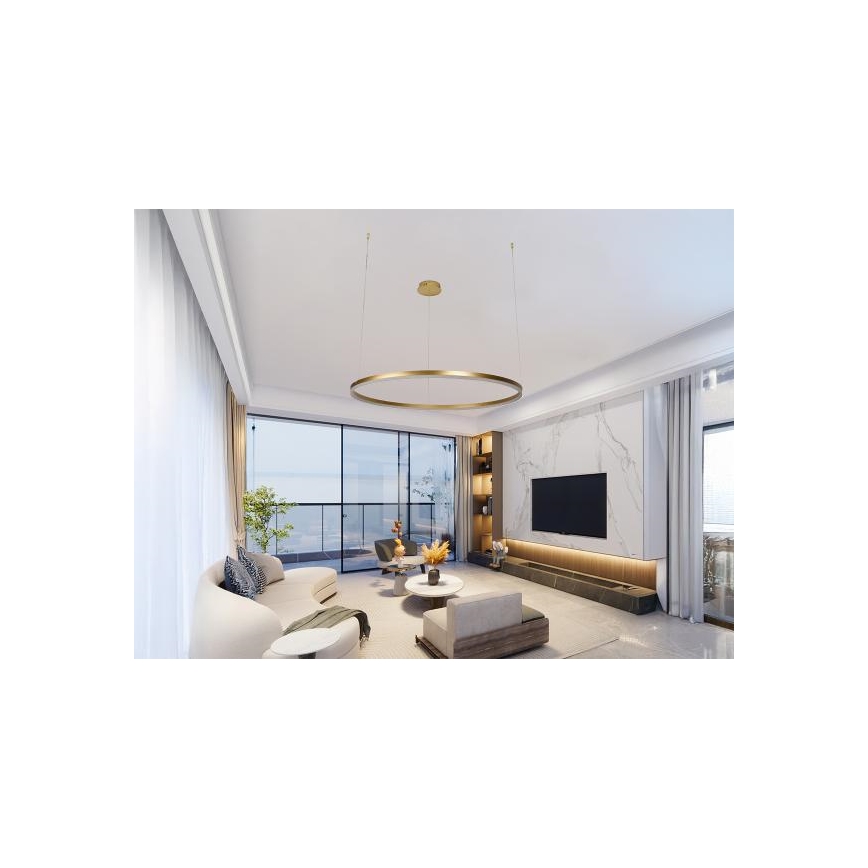 Led Dimmable κρεμαστό φωτιστικό οροφής LED/55W/230V 3000-6500K + τηλεχειριστήριο