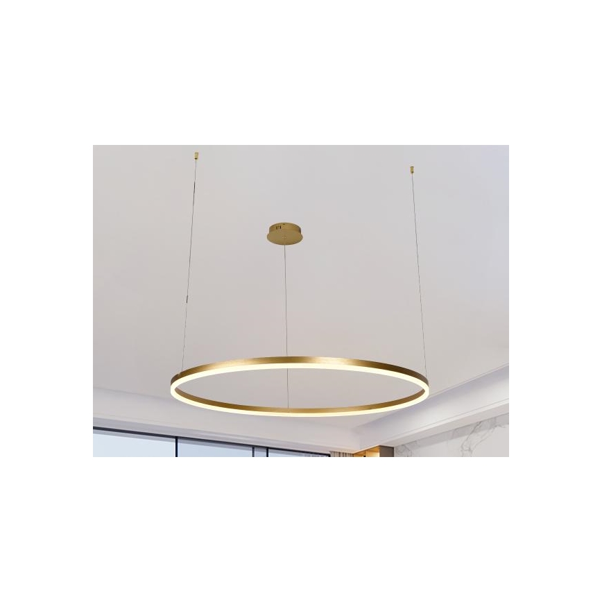 Led Dimmable κρεμαστό φωτιστικό οροφής LED/55W/230V 3000-6500K + τηλεχειριστήριο