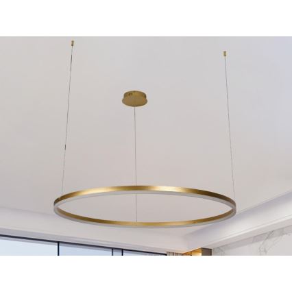 Led Dimmable κρεμαστό φωτιστικό οροφής LED/55W/230V 3000-6500K + τηλεχειριστήριο