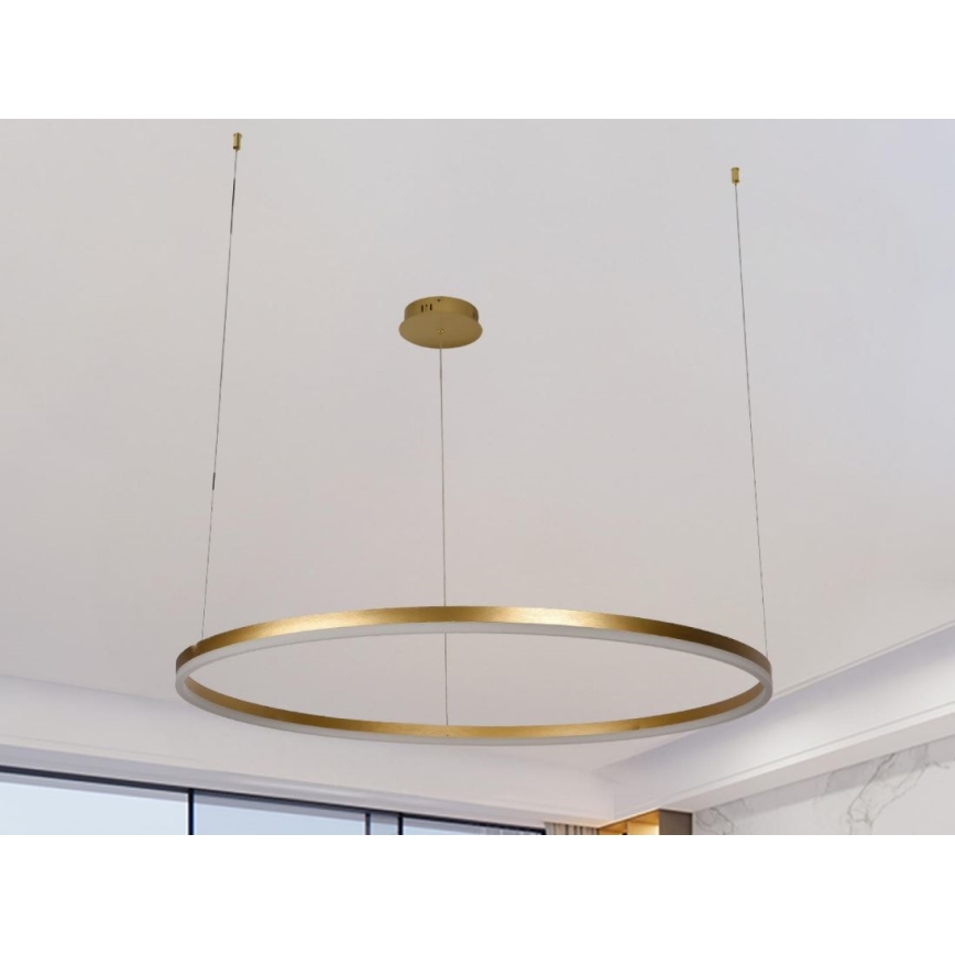 Led Dimmable κρεμαστό φωτιστικό οροφής LED/55W/230V 3000-6500K + τηλεχειριστήριο
