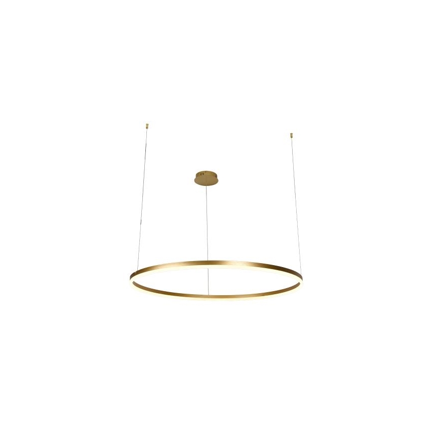 Led Dimmable κρεμαστό φωτιστικό οροφής LED/55W/230V 3000-6500K + τηλεχειριστήριο