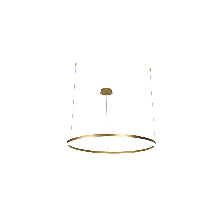 Led Dimmable κρεμαστό φωτιστικό οροφής LED/55W/230V 3000-6500K + τηλεχειριστήριο