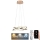 Led Dimmable κρεμαστό φωτιστικό οροφής LED/65W/230V 3000-6500K διάμετρος 48 cm χρυσό + τηλεχειριστήριο