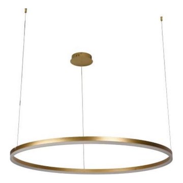Led Dimmable κρεμαστό φωτιστικό οροφής LED/72W/230V 3000-6500K + τηλεχειριστήριο