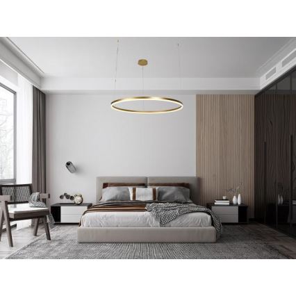 Led Dimmable κρεμαστό φωτιστικό οροφής LED/72W/230V 3000-6500K + τηλεχειριστήριο