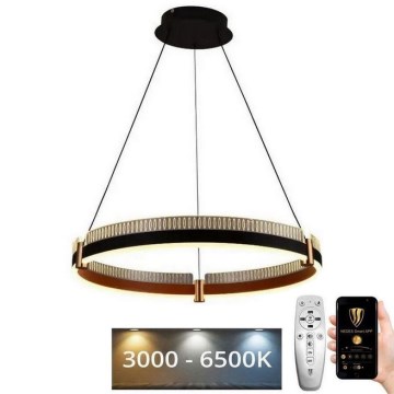 Led Dimmable κρεμαστό φωτιστικό οροφής LED/80W/230V 3000-6500K διάμετρος 60 cm + τηλεχειριστήριο