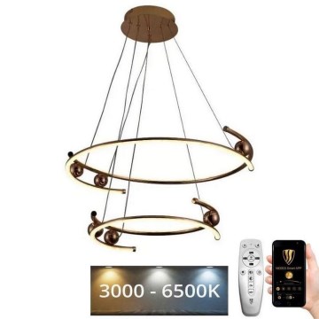 Led Dimmable κρεμαστό φωτιστικό οροφής LED/80W/230V 3000-6500K διάμετρος 60 cm + τηλεχειριστήριο