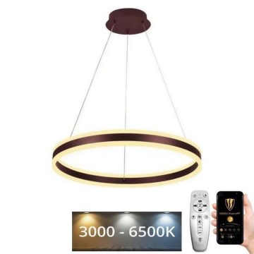 Led Dimmable κρεμαστό φωτιστικό οροφής LED/85W/230V 3000-6500K διάμετρος 60 cm + τηλεχειριστήριο