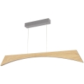 Led Dimmable κρεμαστό φωτιστικό οροφής ZIAD LED/14W/230V δρυς