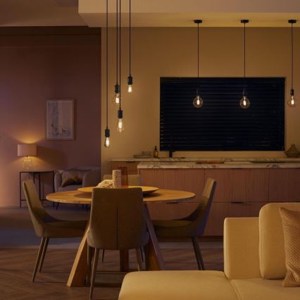 LED Dimmable λαμπτήρας Philips Hue WHITE AMBIANCE ST72 E27/7W/230V 2200-4500K