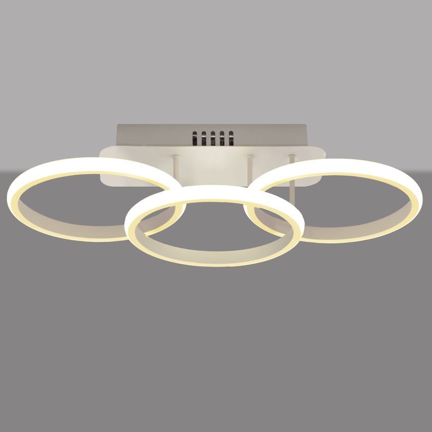 LED Dimmable πολύφωτο απλίκα BARI LED/30W/230V λευκό