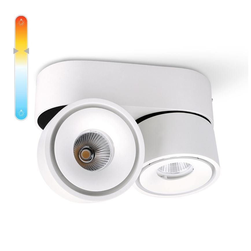LED Dimmable σποτ LAHTI MINI 2xLED/9W/230V 3000K CRI 90 λευκό