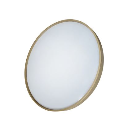 LED Dimmable φωτιστικό οροφής DRINA LED/36W/230V 2700-6500K διάμετρος 50 cm + τηλεχειριστήριο
