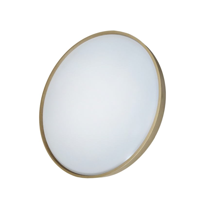 LED Dimmable φωτιστικό οροφής DRINA LED/36W/230V 2700-6500K διάμετρος 50 cm + τηλεχειριστήριο