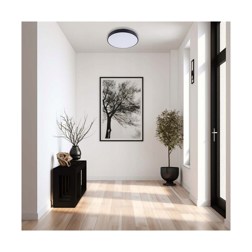 LED Dimmable φωτιστικό οροφής LED/50W/230V 3000-6500K διάμετρος 50 cm μαύρο + τηλεχειριστήριο