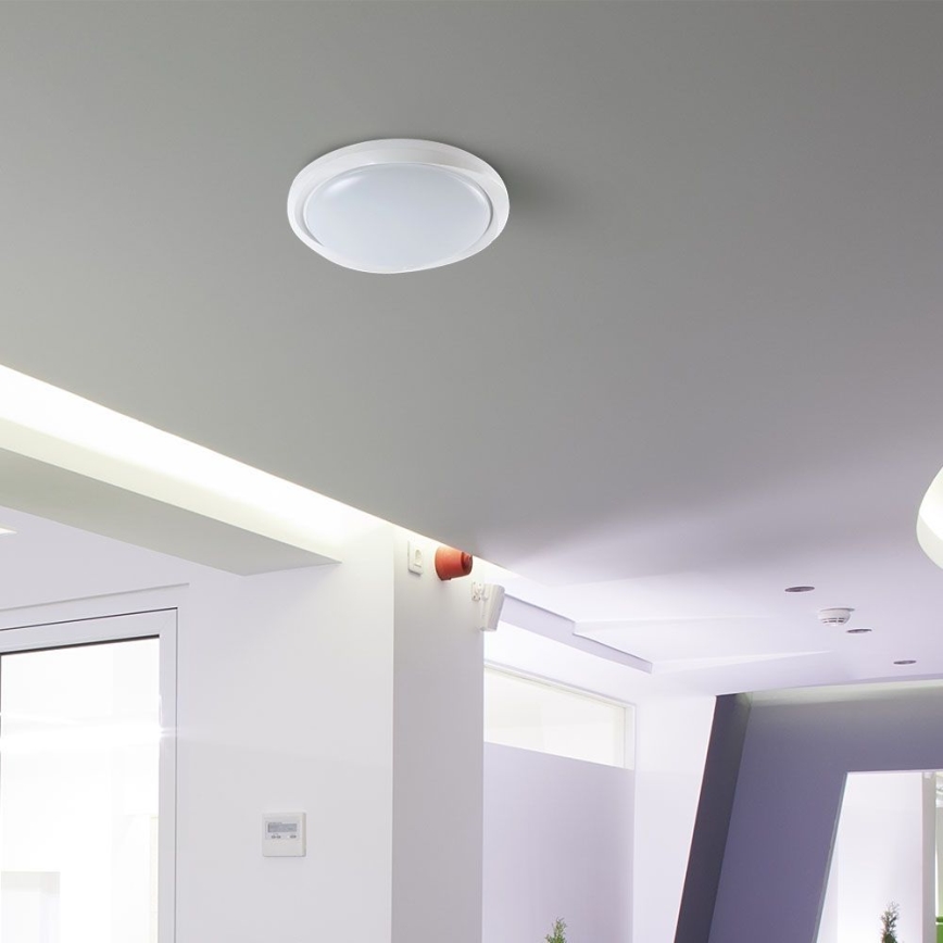 LED Dimmable φωτιστικό οροφής LED/60W/230V 3000-6500K 49,2 cm λευκό + τηλεχειριστήριο
