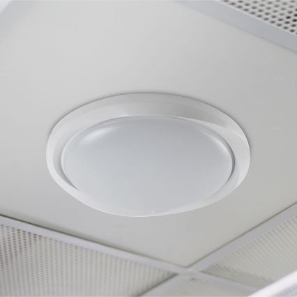 LED Dimmable φωτιστικό οροφής LED/60W/230V 3000-6500K 49,2 cm λευκό + τηλεχειριστήριο