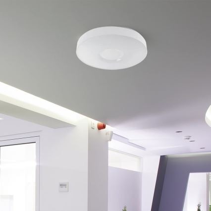 LED Dimmable φωτιστικό οροφής LED/60W/230V 3000-6500K 49,5 cm λευκό + τηλεχειριστήριο