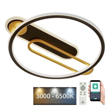 LED Dimmable φωτιστικό οροφής LED/60W/230V 3000-6500K μαύρο + τηλεχειριστήριο