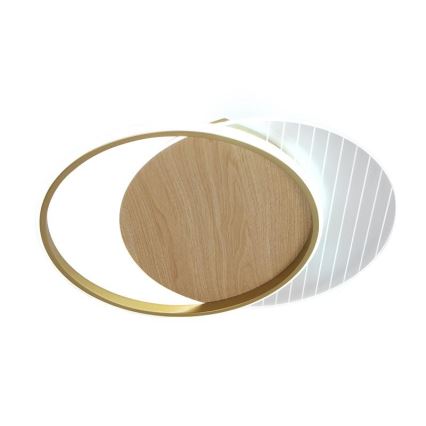 LED Dimmable φωτιστικό οροφής LED/60W/230V 3000-6500K + τηλεχειριστήριο