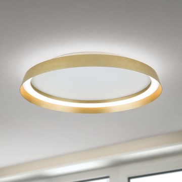 LED Dimmable φωτιστικό οροφής MANTA LED/38W/230V 2700/3000/4000K διάμετρος 45 cm χρυσό