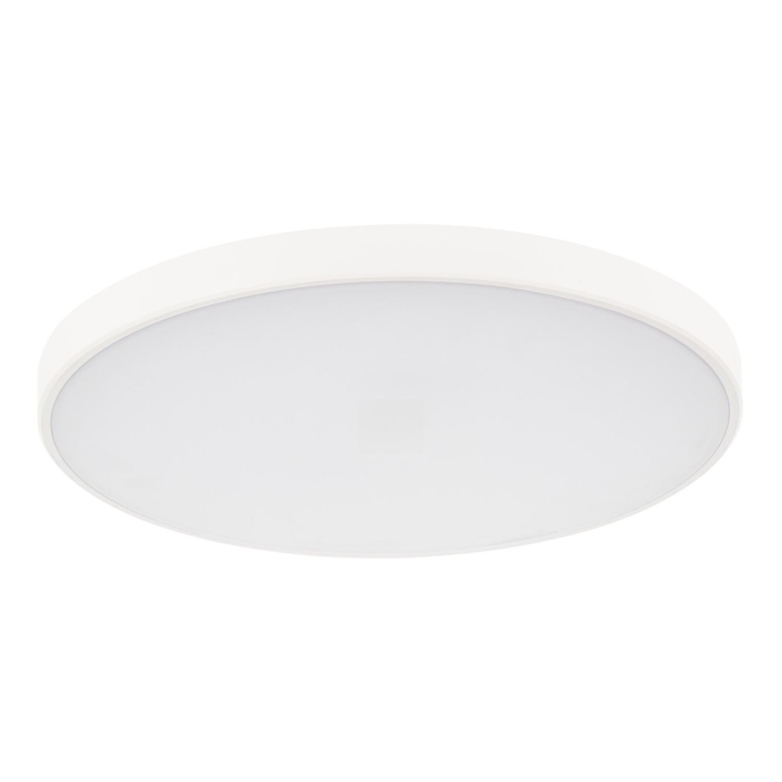LED Dimmable φωτιστικό οροφής PLAFON LED/20W/230V 3000-6500K Wi-Fi λευκό