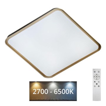 LED Dimmable φωτιστικό οροφής UNA LED/60W/230V 2700-6500K 50x50 cm + τηλεχειριστήριο