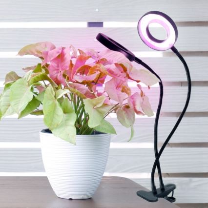LED Dimming εύκαμπτο επιτραπέζιο φωτιστικό με κλιπ για ανάπτυξη φυτών VITARO 2xLED/4W/230V μαύρο