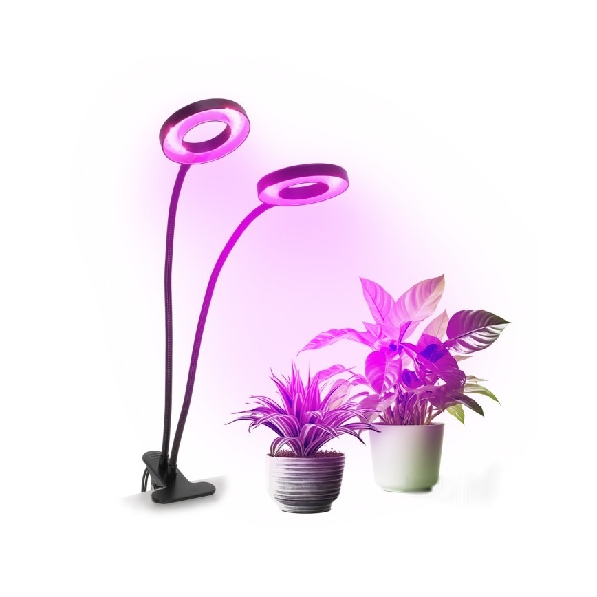 LED Dimming εύκαμπτο επιτραπέζιο φωτιστικό με κλιπ για ανάπτυξη φυτών VITARO 2xLED/4W/230V μαύρο