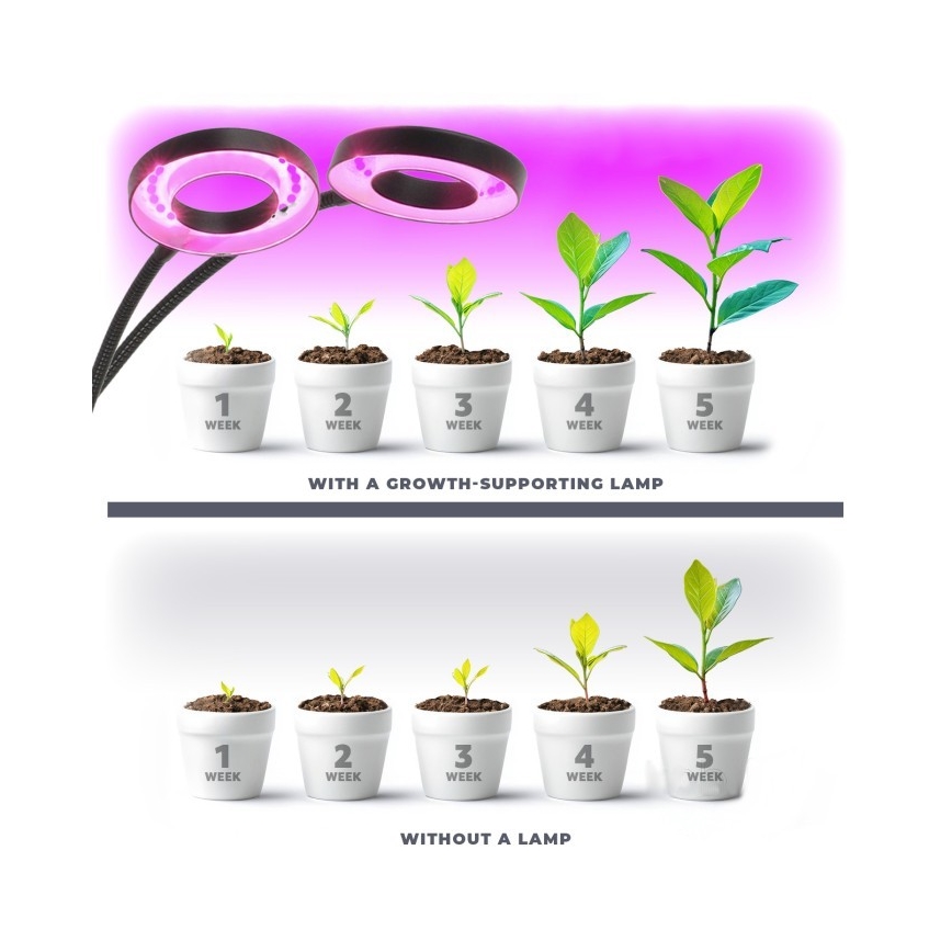 LED Dimming εύκαμπτο επιτραπέζιο φωτιστικό με κλιπ για ανάπτυξη φυτών VITARO 2xLED/4W/230V μαύρο