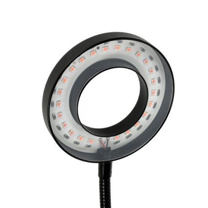 LED Dimming εύκαμπτο επιτραπέζιο φωτιστικό με κλιπ για ανάπτυξη φυτών VITARO 2xLED/4W/230V μαύρο