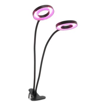 LED Dimming εύκαμπτο επιτραπέζιο φωτιστικό με κλιπ για ανάπτυξη φυτών VITARO 2xLED/4W/230V μαύρο