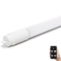 LED Dimming φθορισμού λάμπα MESH Smart T8/18W/230V 6500K 120 cm - Aigostar