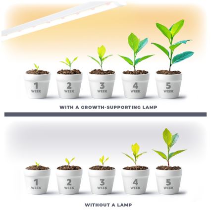 LED Φωτιστικό για καλλιέργεια φυτών GROWLY LED/15W/230V