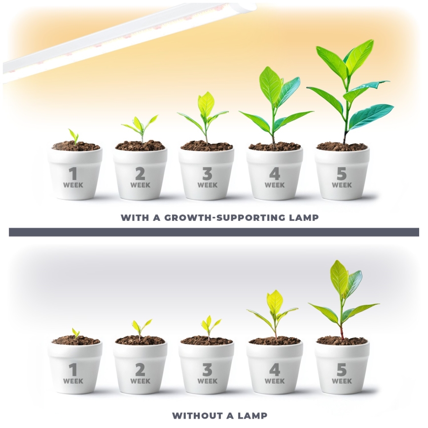 LED Φωτιστικό για καλλιέργεια φυτών GROWLY LED/15W/230V