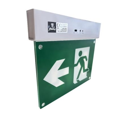 LED Φωτιστικό Έκτακτης Ανάγκης LED/2W/230V 6000K 300 mAh