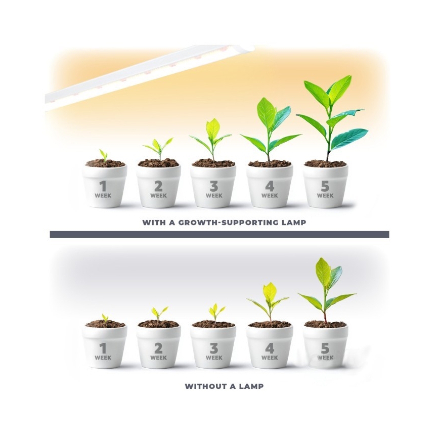 LED Φωτιστικό για καλλιέργεια φυτών GROWLY LED/9W/230V λευκό