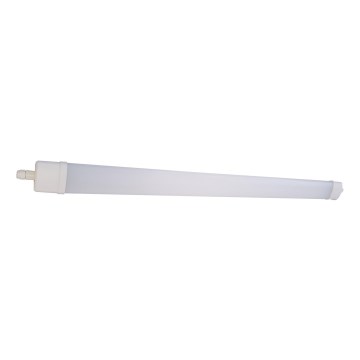 LED Φωτιστικό φθορίου DAISY LED/40W/230V 4000K IP65