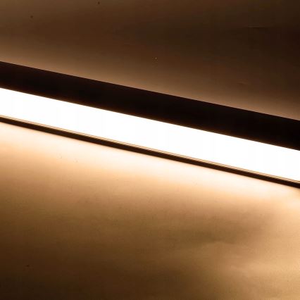 LED φωτιστικό (κρεμαστό σε καλώδιο / επιτοίχιο) 44W 230V 3000K 120 cm μαύρο