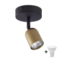 LED Φωτιστικό σποτ TOP 1xGU10/10W/230V χρυσό/μαύρο