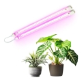LED Φωτιστικό για καλλιέργεια φυτών GROWLY 2xLED/8,5W/230V λευκό