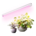 LED Φωτιστικό για καλλιέργεια φυτών GROWLY LED/9W/230V λευκό