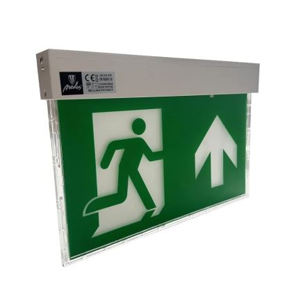 LED Φωτιστικό Έκτακτης Ανάγκης LED/2W/230V 6000K 1500 mAh