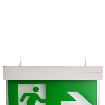 LED Φωτιστικό Έκτακτης Ανάγκης LED/2W/230V 6000K 1500 mAh