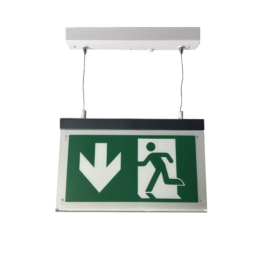 LED Φωτιστικό Έκτακτης Ανάγκης LED/4W/230V 6000K 1000 mAh