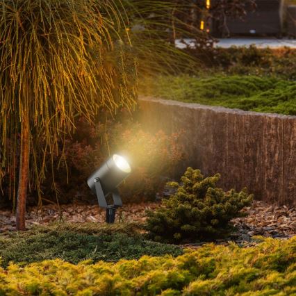 LED Φωτιστικό εξωτερικού χώρου LED/10W/230V 4000K IP65