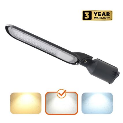 LED Φωτιστικό Δρόμου BRELUXO LED/100W/230V 4000K IP65