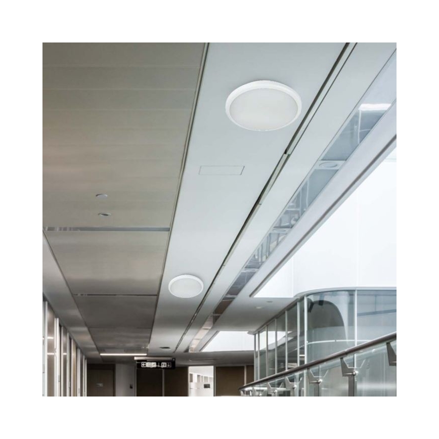 LED Φωτιστικό μπάνιου με αισθητήρα LED/20W/230V 3000/4000/6000K IP66 διάμ. 30 εκ.