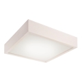 LED φωτιστικό οροφής/24W/230V