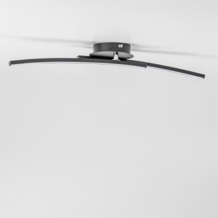 LED φωτιστικό οροφής 2xLED/6W/230V μαύρο